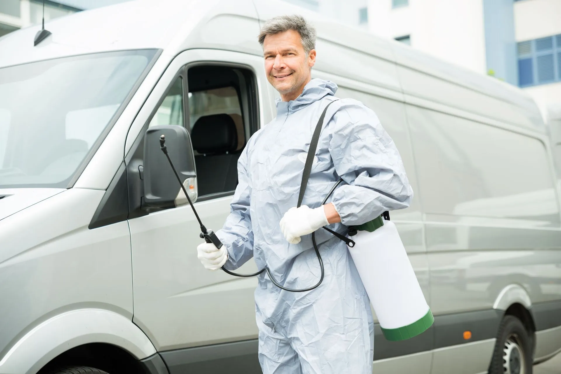 3 Ways Pest Control Services Keep Flying Insects Away