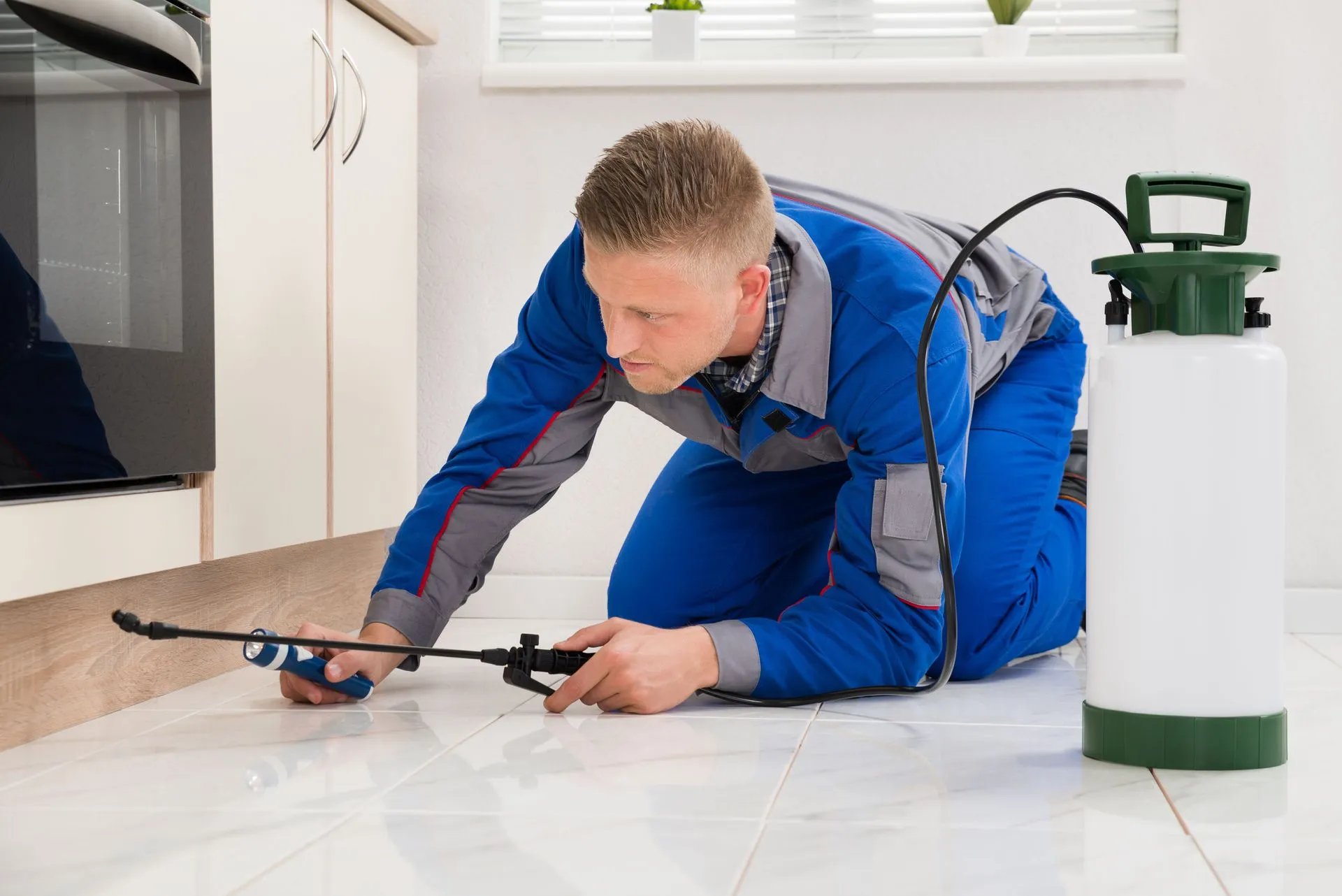 How Professional Exterminators Can Keep Your Home Pest-Free