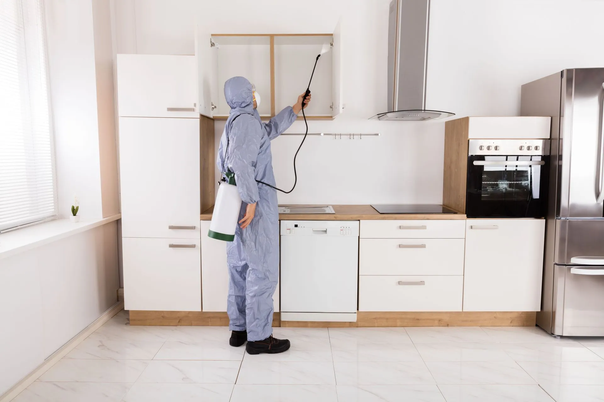 How Pest Control Service Can Save You Hundreds of Dollars
