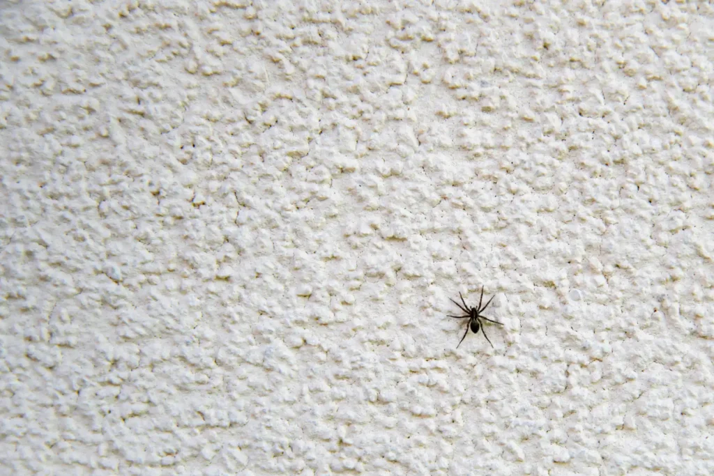 are spiders beneficial or harmful?